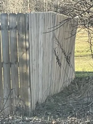 The Grounds Guys Of Greece Logo