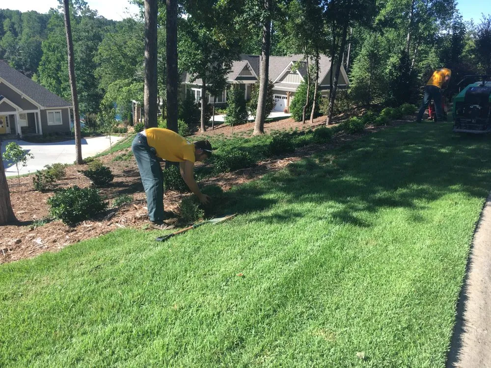 Professional landscaping services for year-round maintenance in Powdersville, SC by The Grounds Guys of Greenville, SC