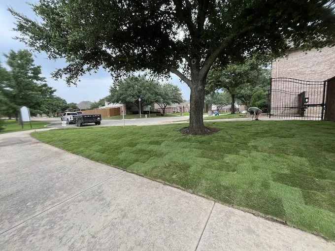 Affordable residential landscaping experts serving Fort Worth, TX - The Grounds Guys of Keller, TX