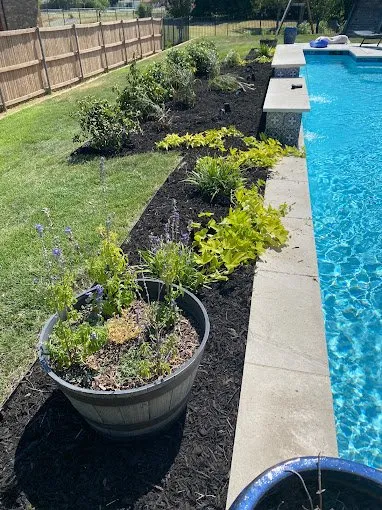 Affordable lawn care service in Fort Worth, TX by The Grounds Guys of Keller, TX