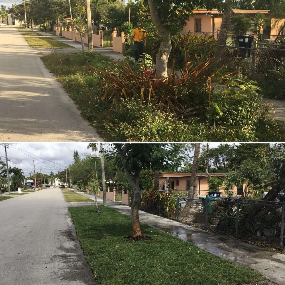 Reliable yard cleanup service in Miami, FL by The Grounds Guys of Kendall