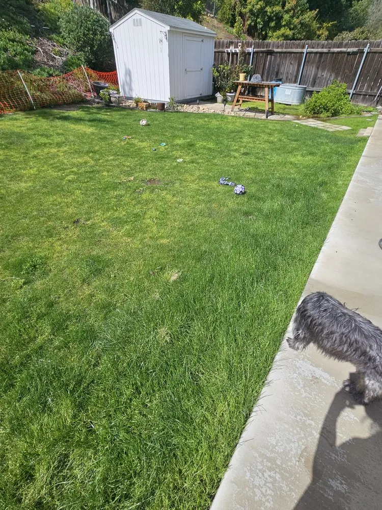 Reliable yard cleanup service in La Mesa, CA - The Grounds Guys of La Mesa, CA