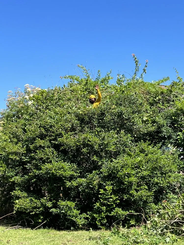 Expert lawn care service in Lake Charles, LA - The Grounds Guys of Lake Charles