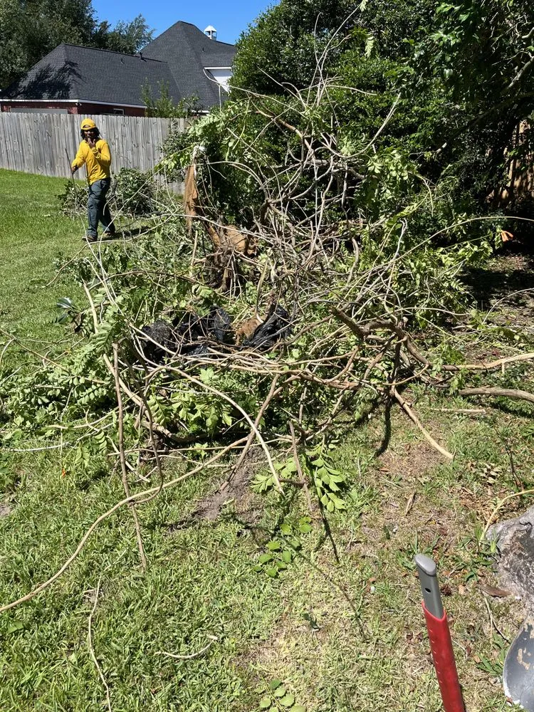 Professional garden landscaping experts serving Lake Charles, LA - The Grounds Guys of Lake Charles