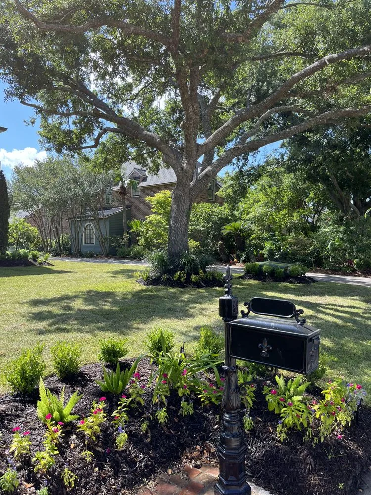 Expert yard cleanup service for beautiful yards across Lake Charles, LA - The Grounds Guys of Lake Charles