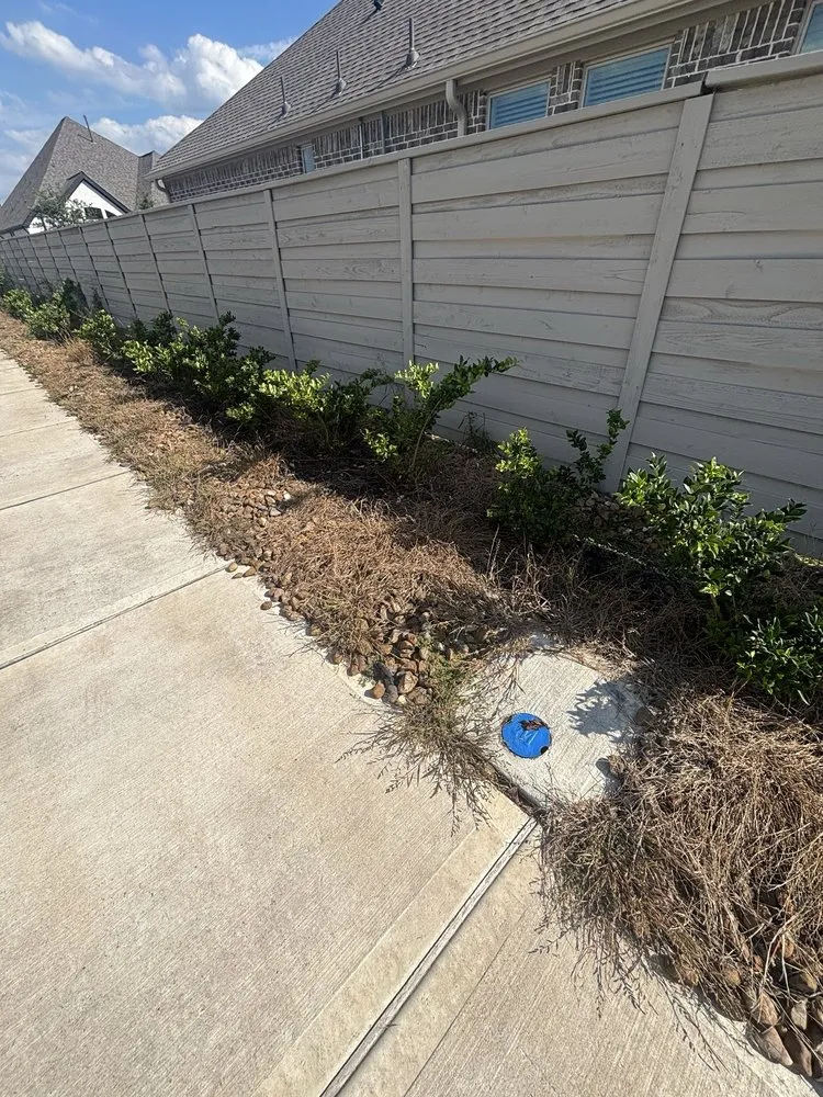 Professional lawn mowing service in Friendswood, TX - The Grounds Guys of League City, Pearland and Friendswood