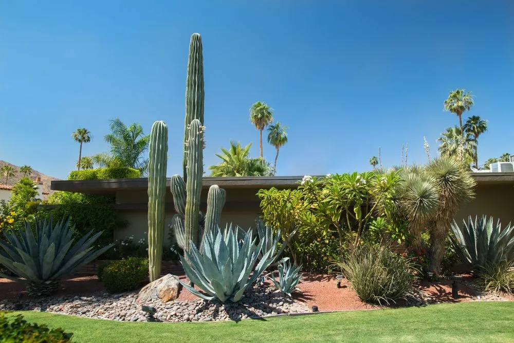 Expert lawn care service near you in Maricopa, AZ by The Grounds Guys of Maricopa