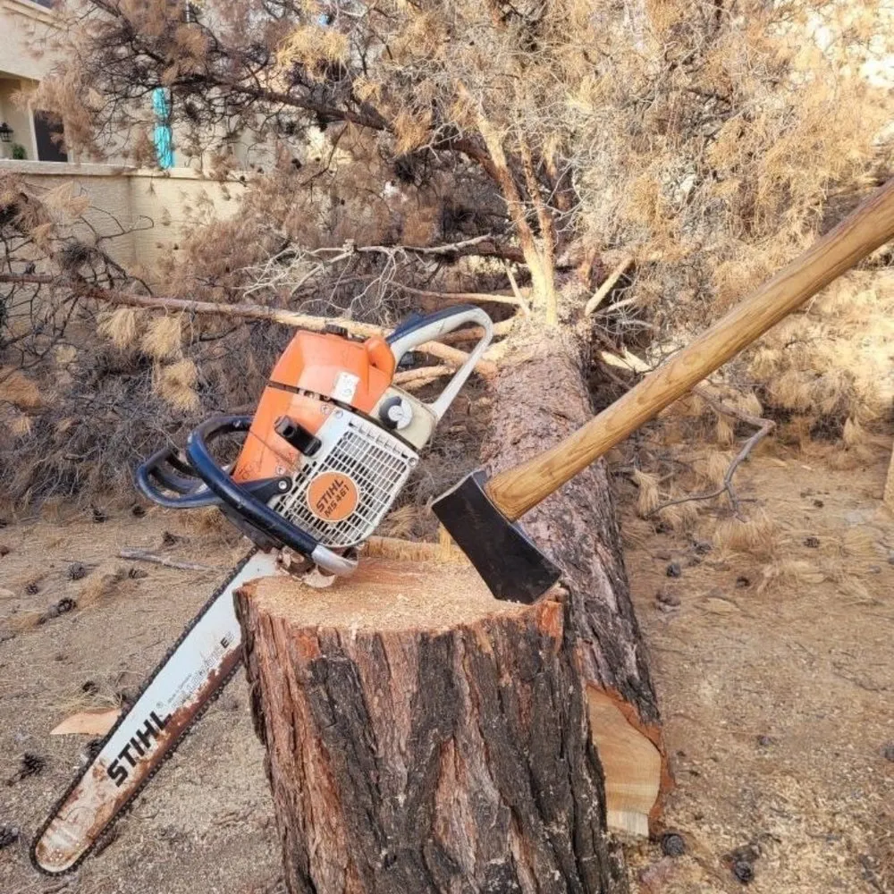 Affordable landscaping services experts serving Maricopa, AZ - The Grounds Guys of Maricopa