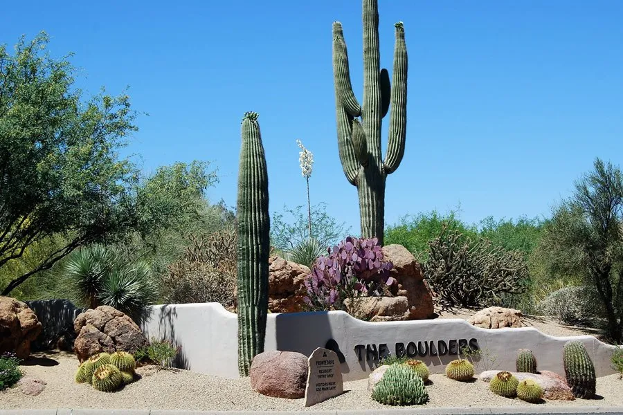 Professional yard cleanup service in Maricopa, AZ - The Grounds Guys of Maricopa