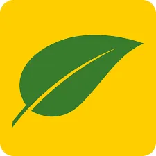 Professional yard cleanup service for year-round maintenance across Maricopa, AZ - The Grounds Guys of Maricopa