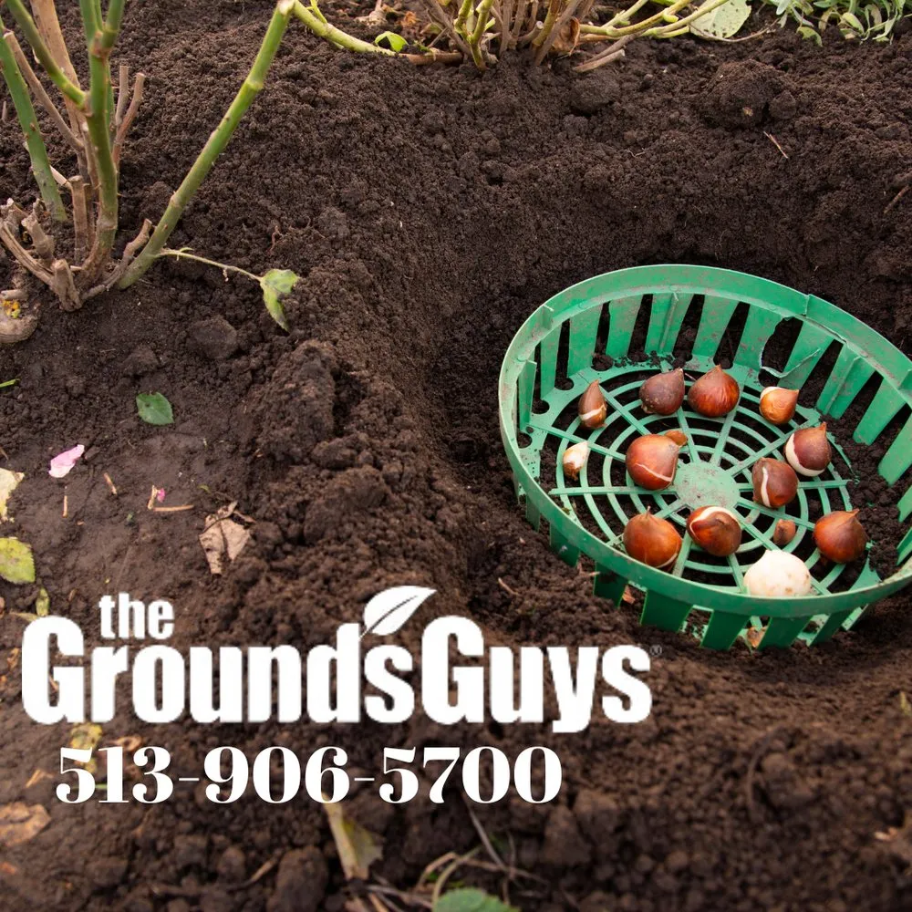 Affordable landscaping services for residential properties in Mason, OH by The Grounds Guys of Mason, OH
