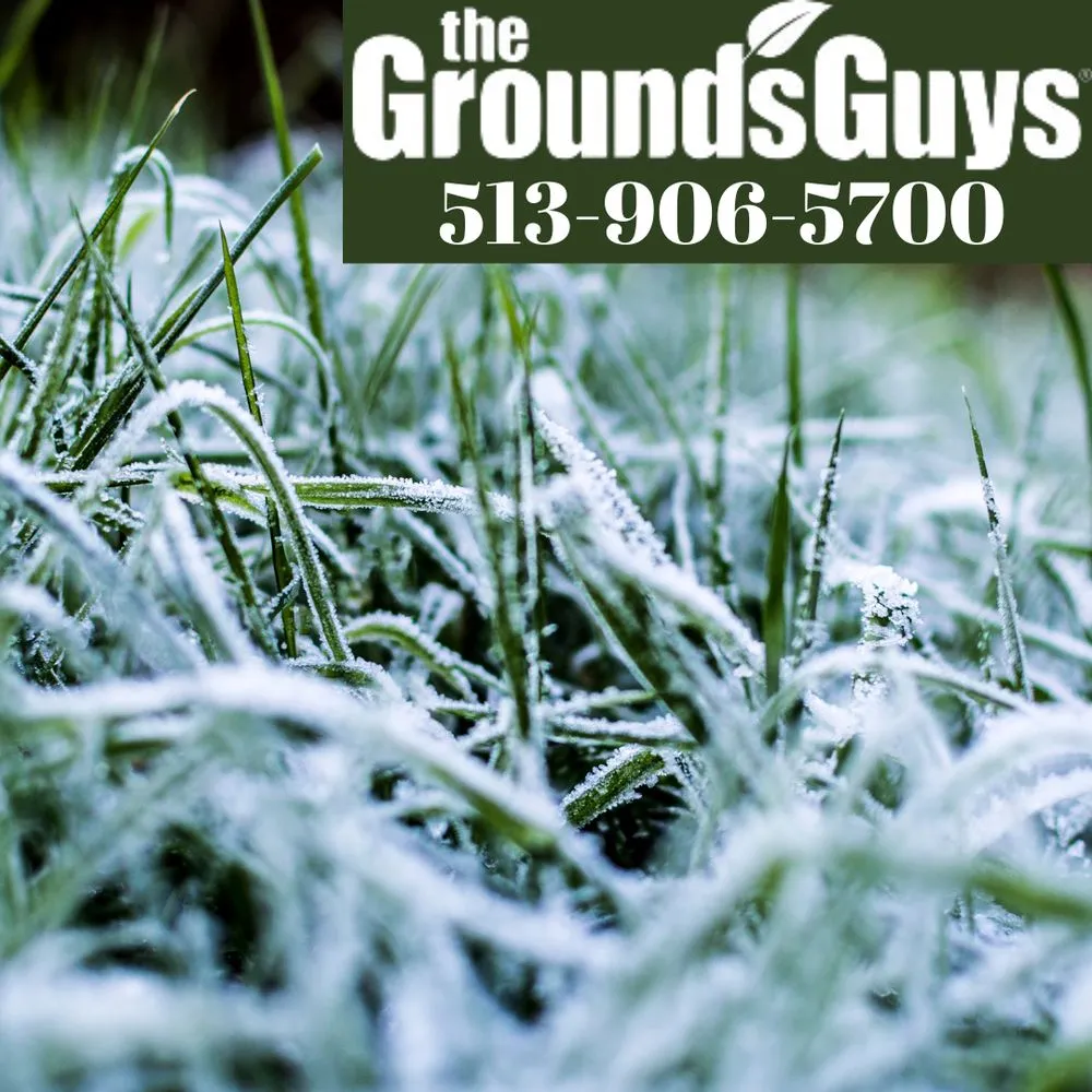Trusted landscaping services for year-round maintenance in Mason, OH by The Grounds Guys of Mason, OH