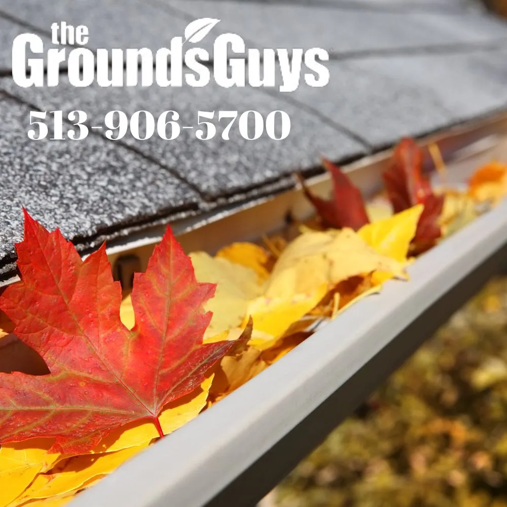 Local yard cleanup service for homes in Mason, OH by The Grounds Guys of Mason, OH