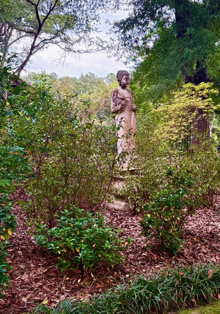 Reliable yard cleanup service experts serving Pike Road, AL - The Grounds Guys of Montgomery, AL