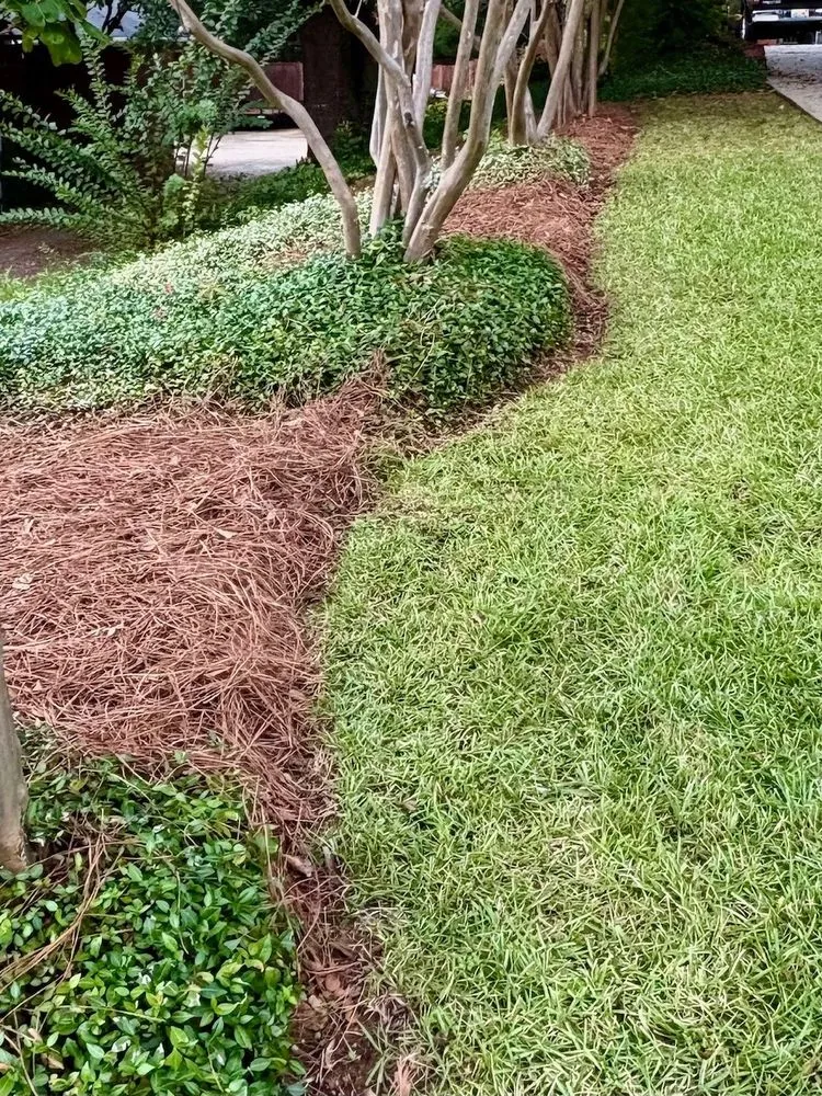 Top-rated lawn care service for year-round maintenance in Pike Road, AL by The Grounds Guys of Montgomery, AL