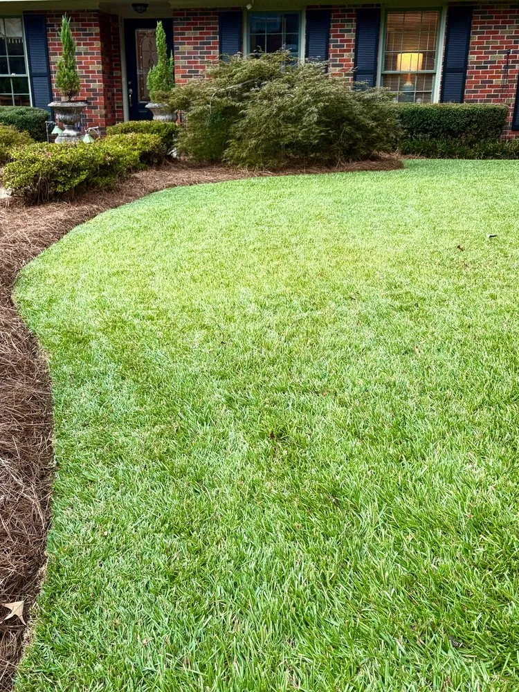 Reliable outdoor landscaping for year-round maintenance across Pike Road, AL - The Grounds Guys of Montgomery, AL