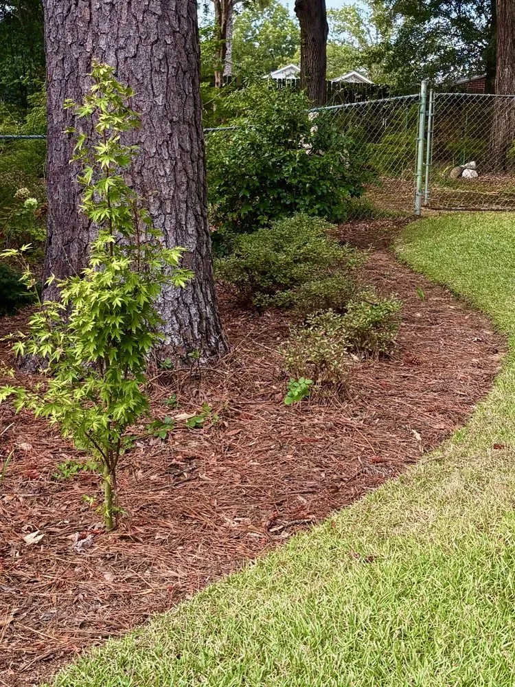 Expert yard cleanup service near you in Pike Road, AL by The Grounds Guys of Montgomery, AL