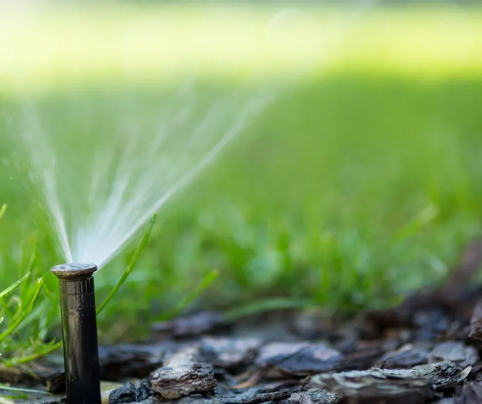 Trusted outdoor landscaping experts serving Awendaw, SC - The Grounds Guys of Mount Pleasant