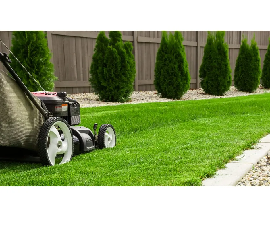 Reliable residential landscaping in Awendaw, SC - The Grounds Guys of Mount Pleasant