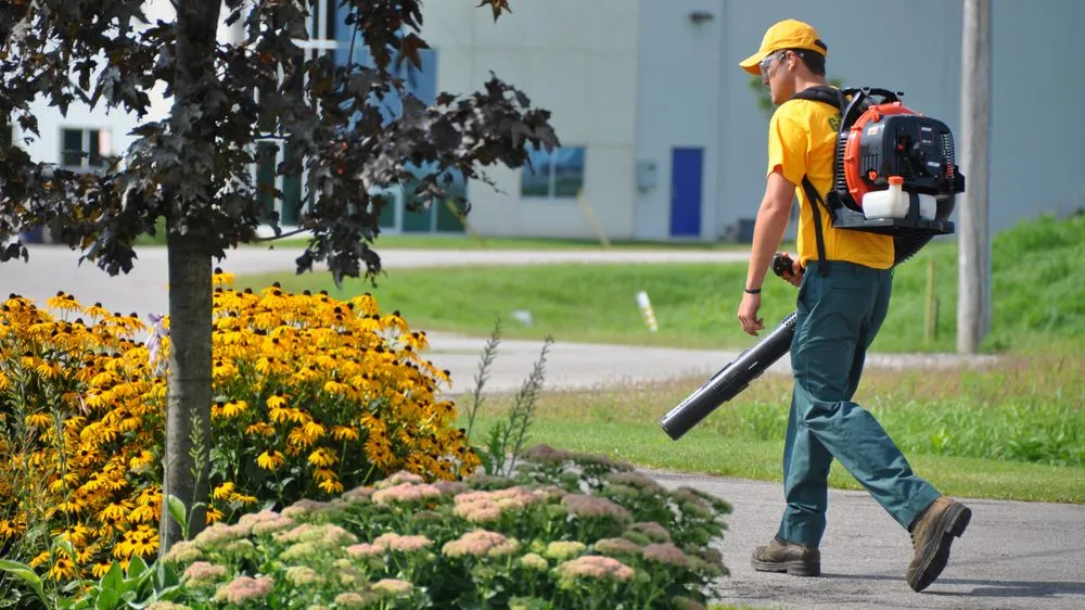 Reliable yard cleanup service in Woodstown, NJ - The Grounds Guys of Mullica Hill