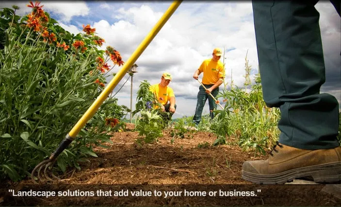 Expert yard cleanup service in New Albany, OH - The Grounds Guys of New Albany