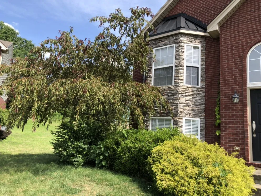 Trusted outdoor landscaping for beautiful yards across Cincinnati, OH - The Grounds Guys of North College Hill