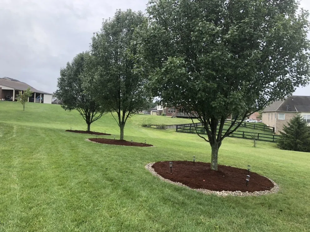 Affordable residential landscaping in Cincinnati, OH by The Grounds Guys of North College Hill