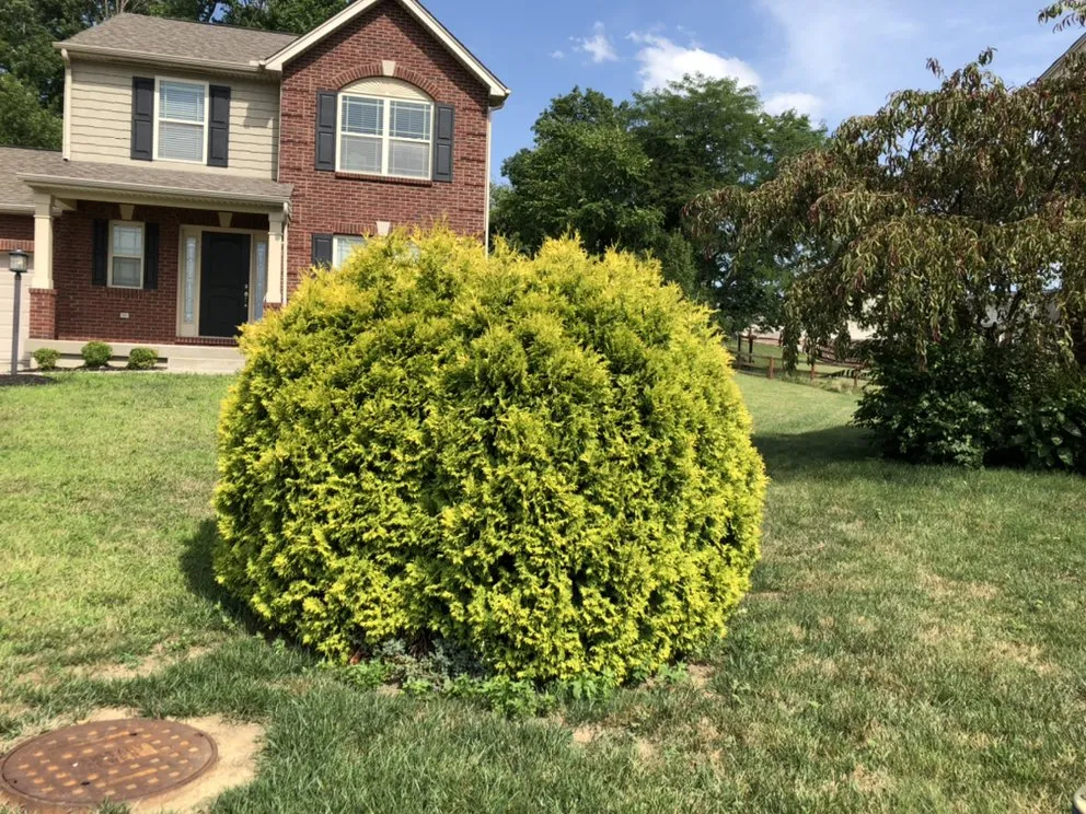Trusted outdoor landscaping for homes in Cincinnati, OH by The Grounds Guys of North College Hill