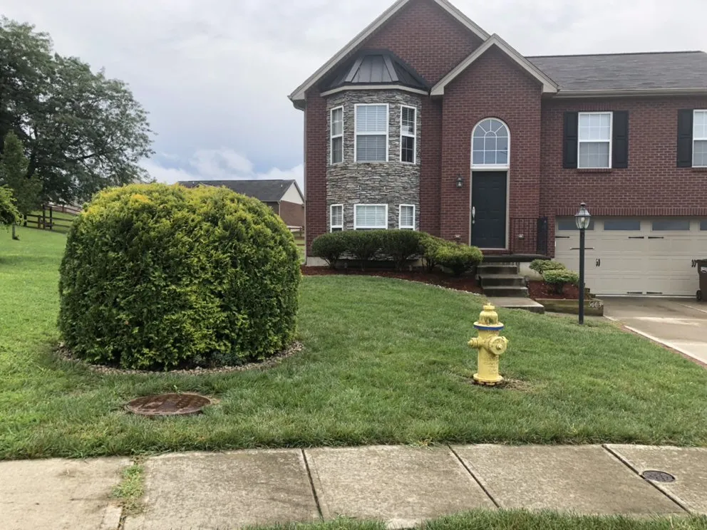 Trusted lawn care service in Cincinnati, OH by The Grounds Guys of North College Hill