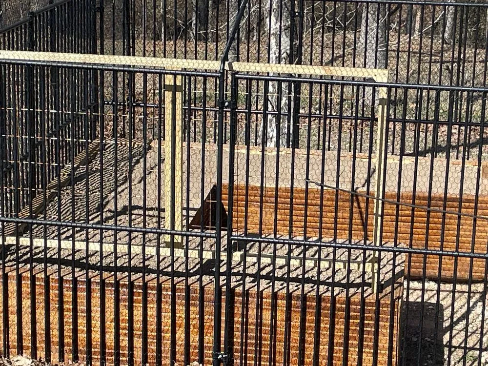 Expert yard cleanup service with custom design in Fayetteville, AR by The Grounds Guys of Northwest Arkansas