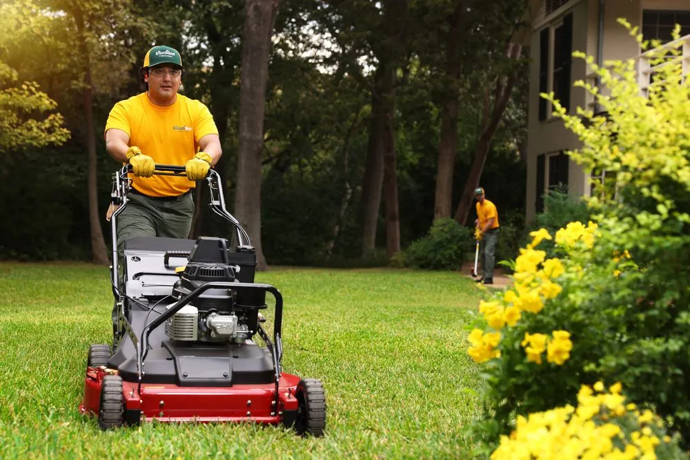 Custom landscape design in Raleigh, NC - The Grounds Guys of Northwest Raleigh