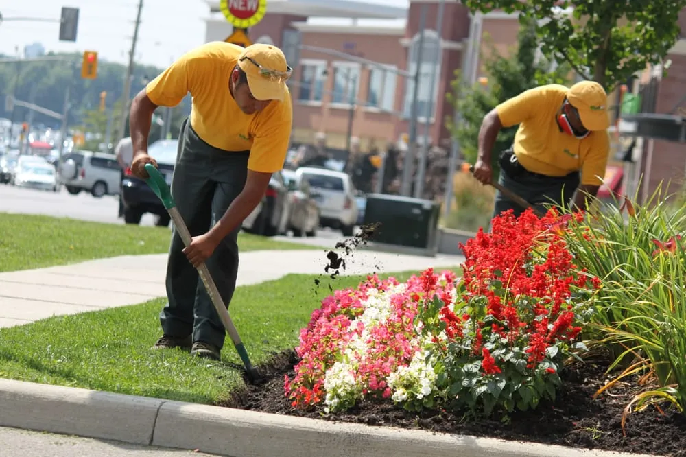 Affordable lawn mowing service in Olathe, KS - The Grounds Guys of Olathe