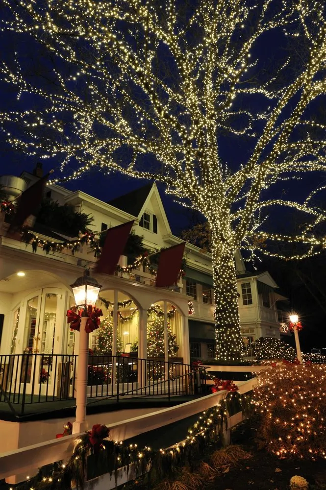 Expert yard cleanup service for outdoor upgrades across Pensacola, FL - The Grounds Guys of Pensacola