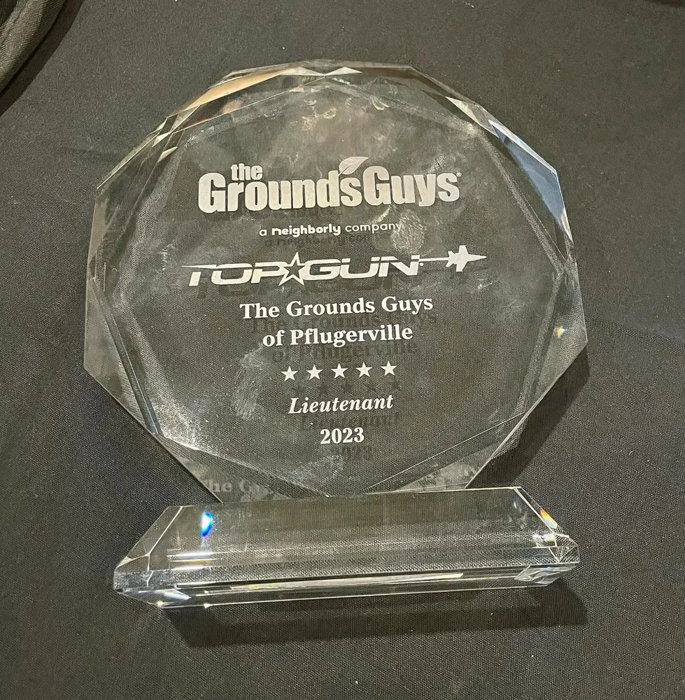 Affordable landscape design in Pflugerville, TX by The Grounds Guys of Pflugerville