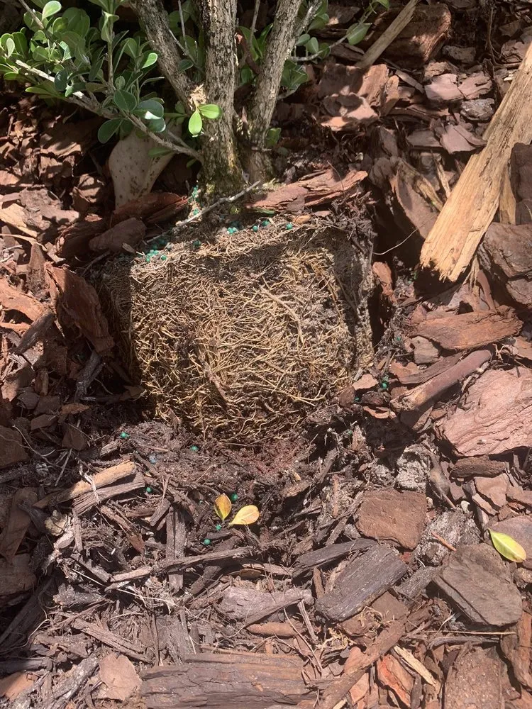 Local lawn care service in Debary, FL - The Grounds Guys of Sanford, FL