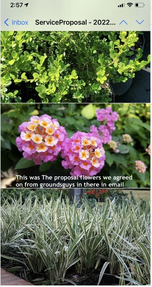 Professional landscaping services experts serving Debary, FL - The Grounds Guys of Sanford, FL