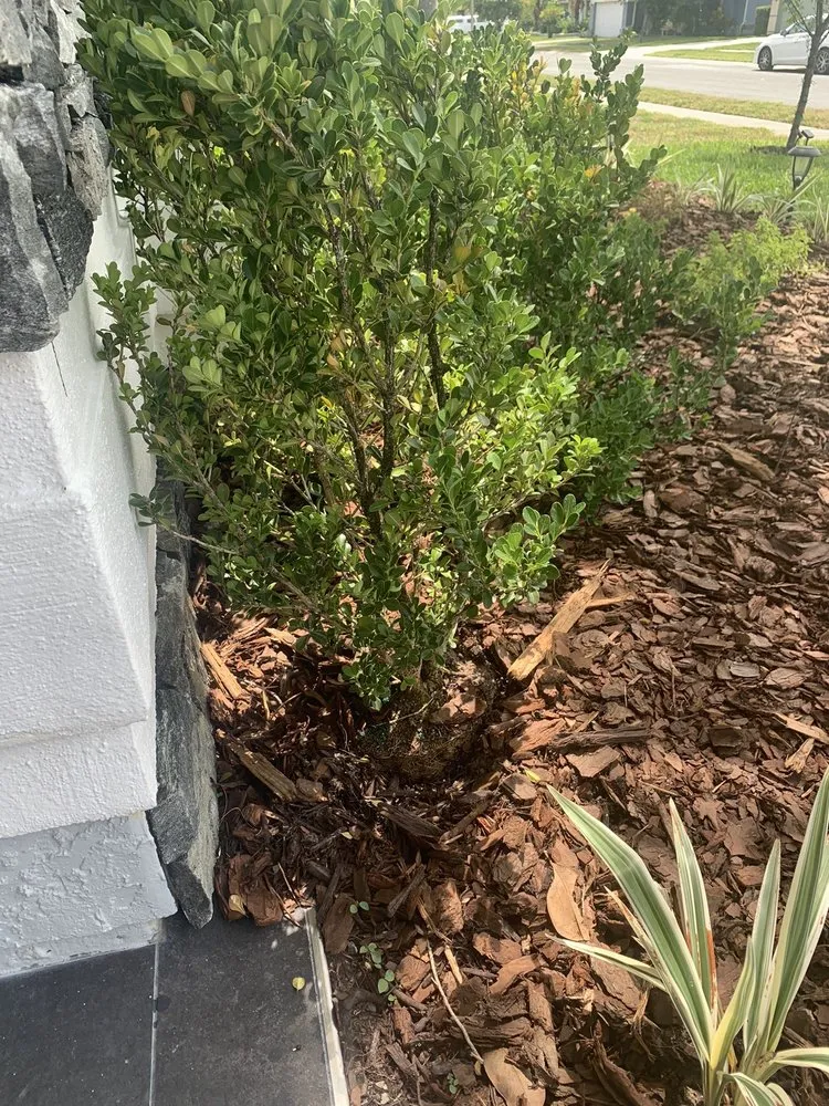 Professional landscape design experts serving Debary, FL - The Grounds Guys of Sanford, FL