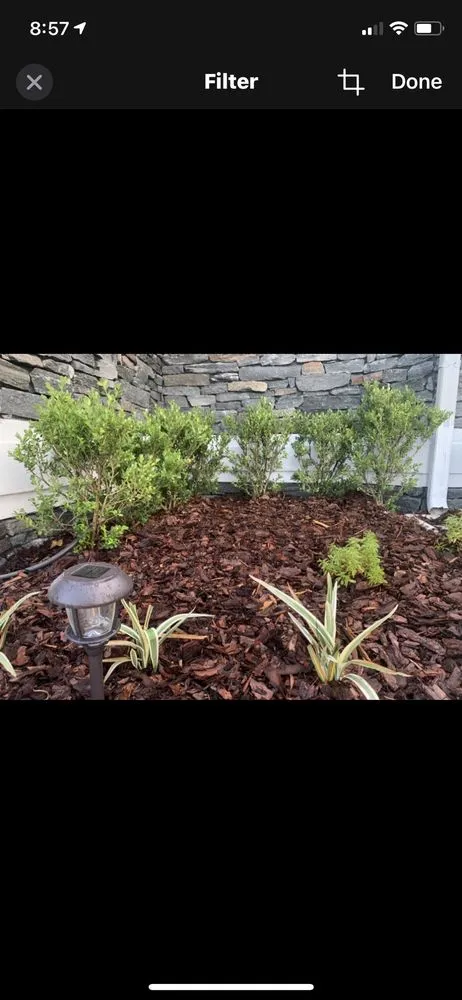 Reliable yard cleanup service with custom design across Debary, FL - The Grounds Guys of Sanford, FL