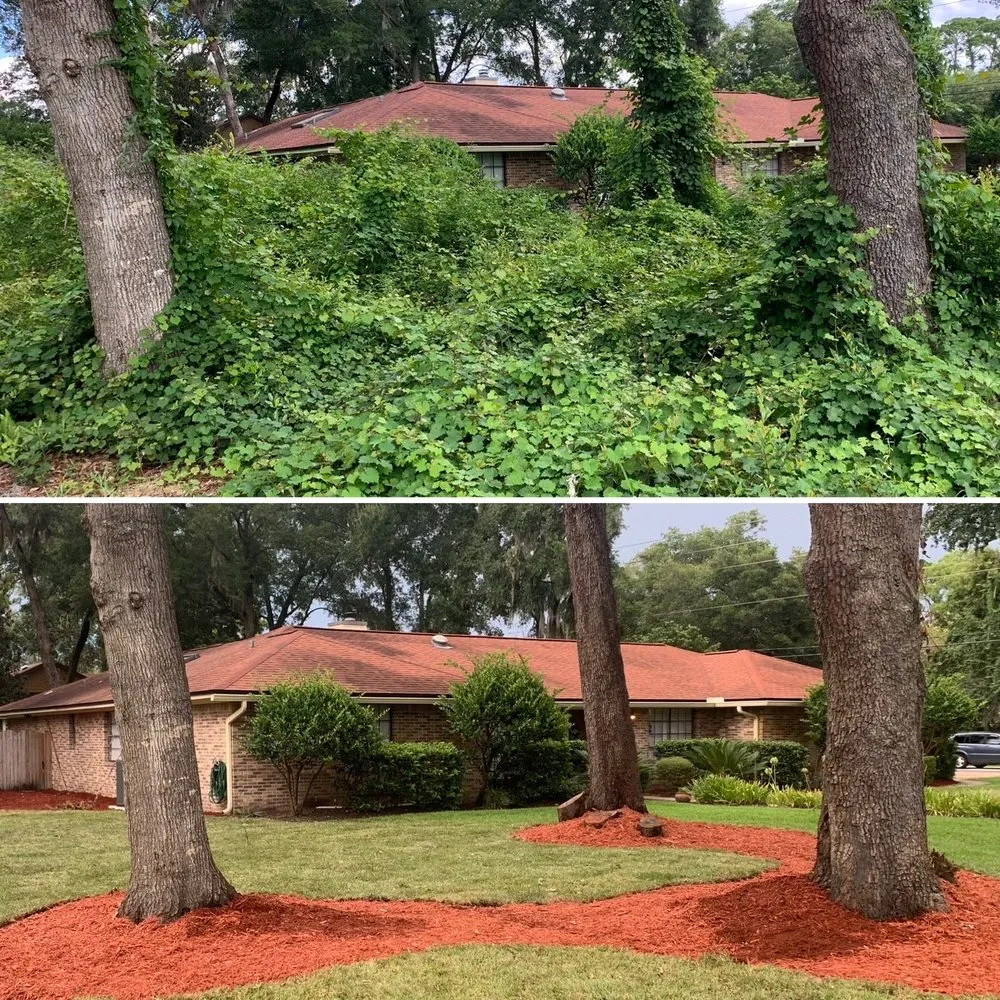 Expert lawn mowing service for residential properties across Saint Augustine, FL - The Grounds Guys of St Johns, FL