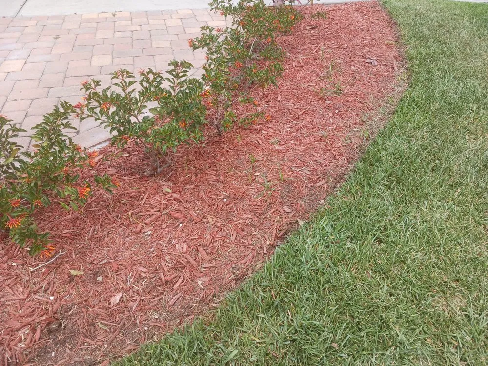 Professional lawn mowing service experts serving New Port Richey, FL - The Grounds Guys of Tarpon Springs