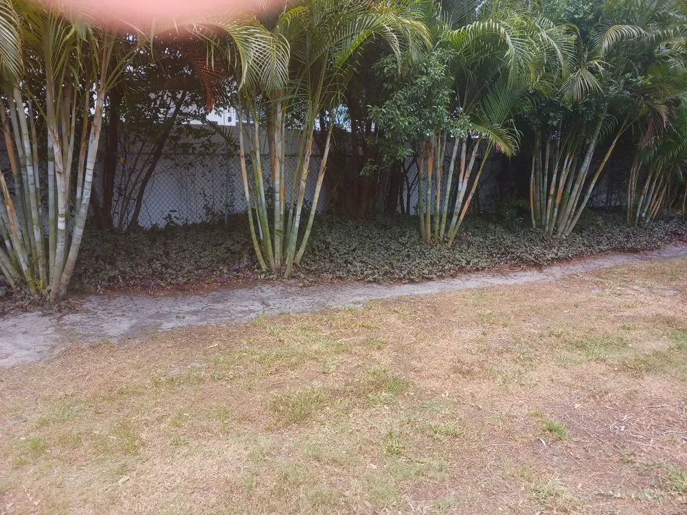 Professional landscaping services for homes across New Port Richey, FL - The Grounds Guys of Tarpon Springs