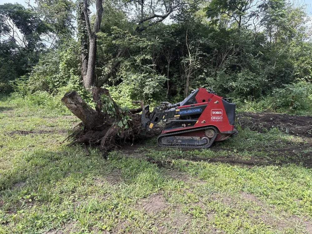 Professional landscape design with custom design across Chesterton, IN - The Grounds Guys of Valparaiso