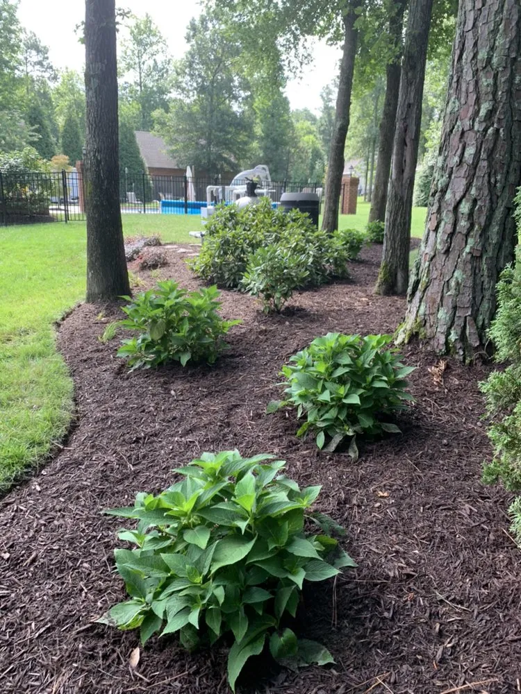 Professional landscape design experts serving Ashland, VA - The Grounds Guys of West End