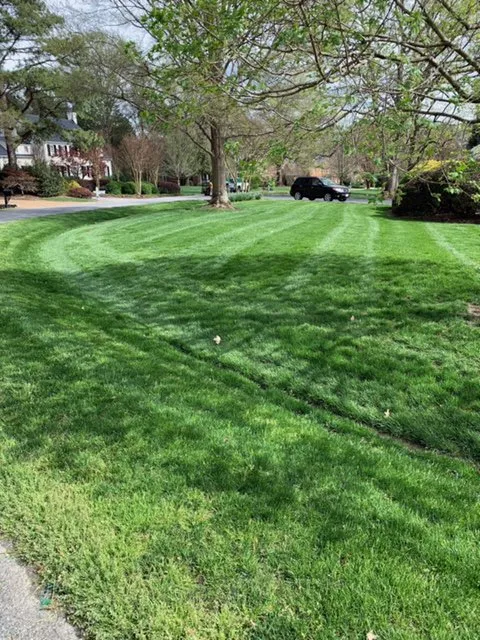 Custom residential landscaping with custom design across Ashland, VA - The Grounds Guys of West End