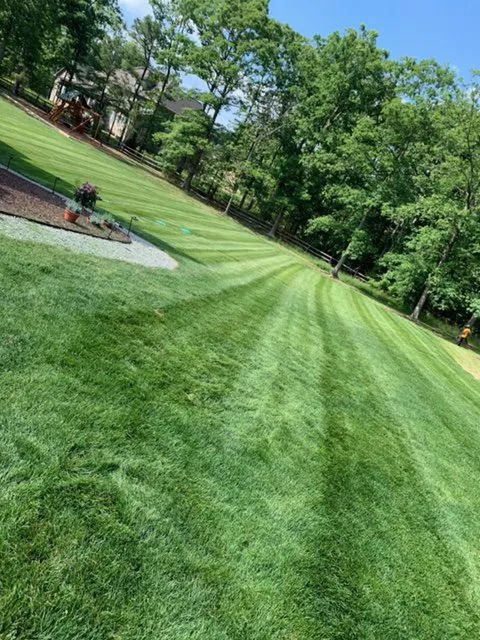 Affordable residential landscaping in Ashland, VA - The Grounds Guys of West End