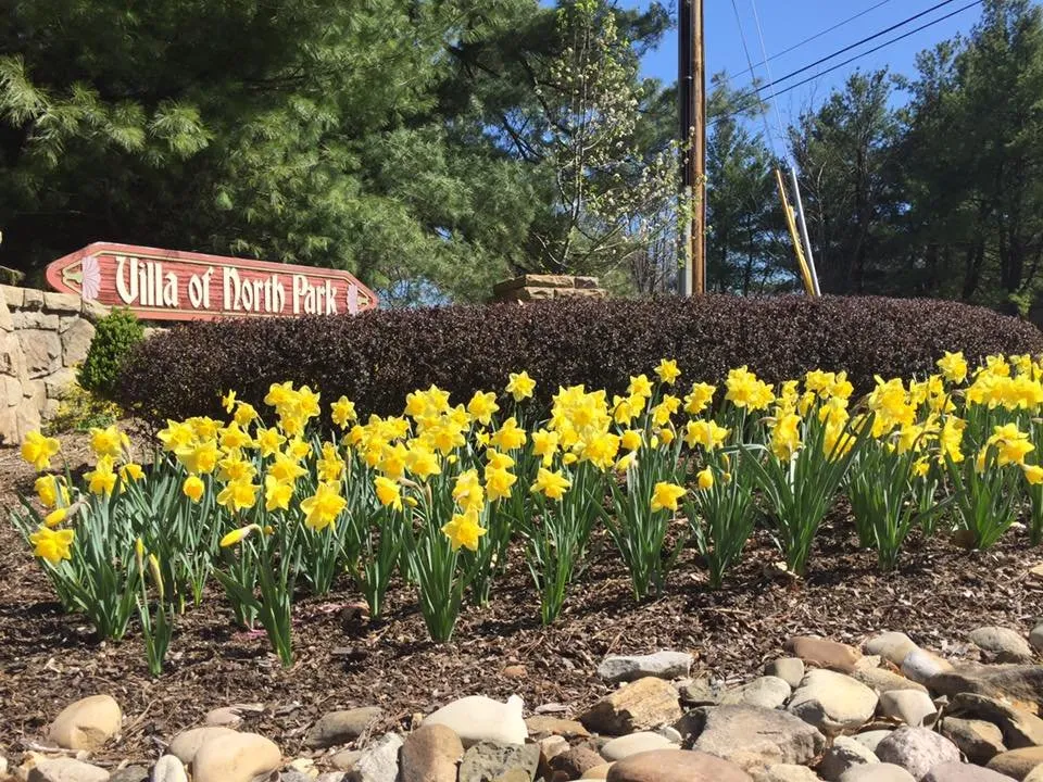 Local landscaping services for outdoor upgrades across Gibsonia, PA - The Grounds Guys of Wexford