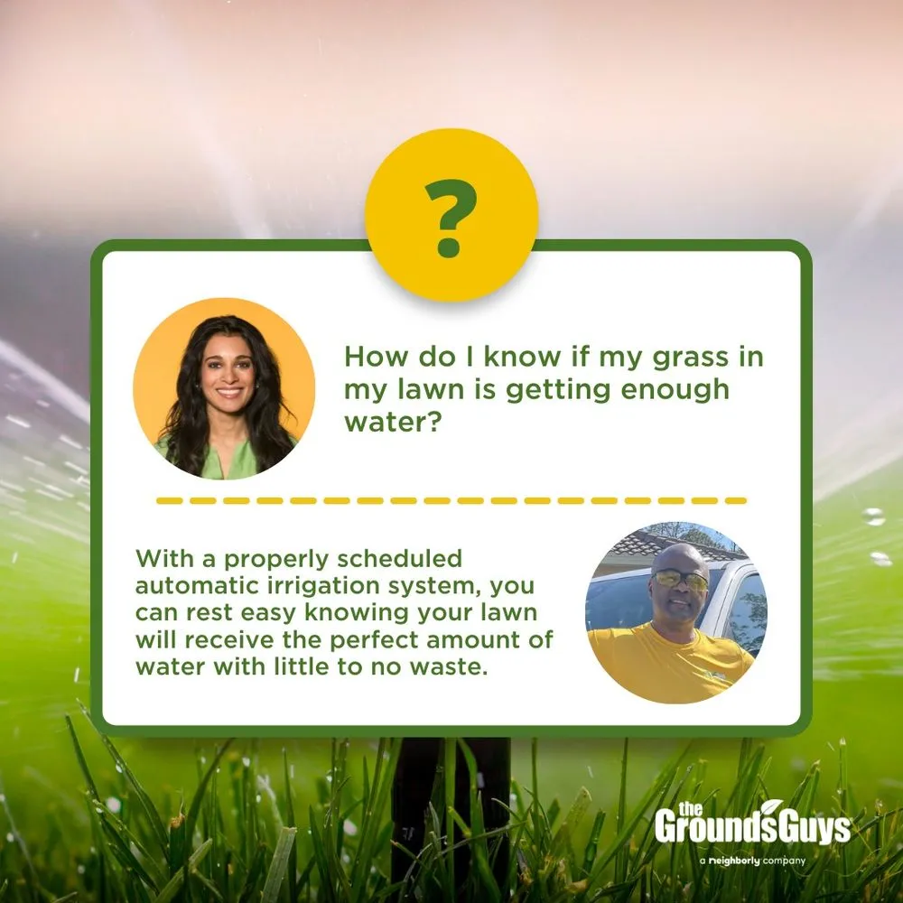 Professional yard cleanup service experts serving Orlando, FL - The Grounds Guys of Winter Park, FL