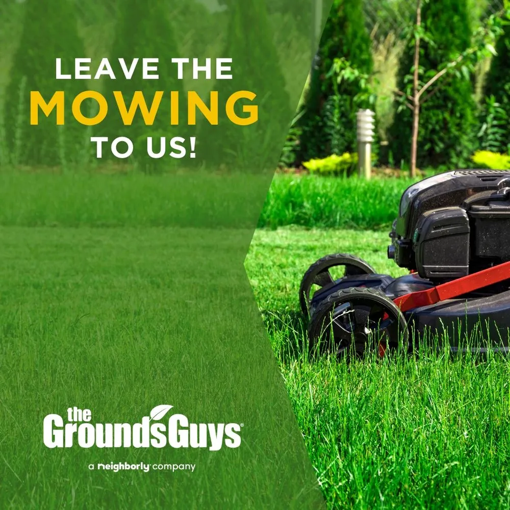 Local yard maintenance near you in Orlando, FL by The Grounds Guys of Winter Park, FL
