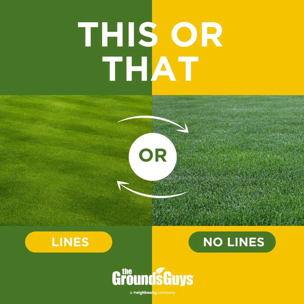 Reliable landscape design in Orlando, FL - The Grounds Guys of Winter Park, FL