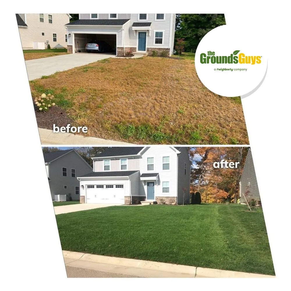 Custom residential landscaping for beautiful yards in Orlando, FL by The Grounds Guys of Winter Park, FL